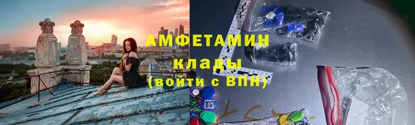 индика Аркадак