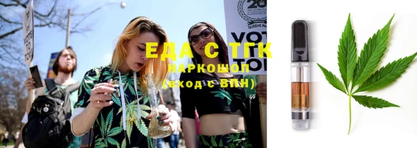 индика Аркадак