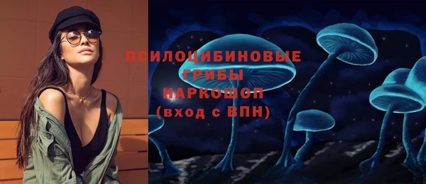 спайс Мегион