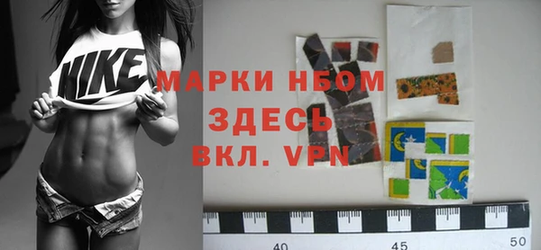 индика Аркадак