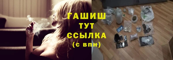 индика Аркадак