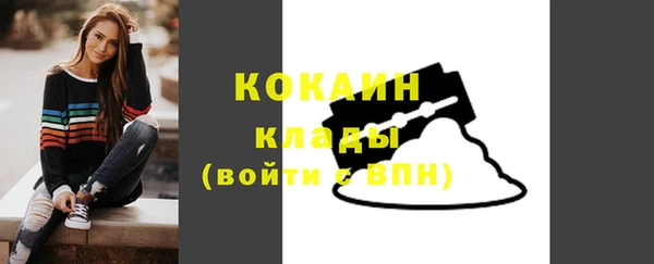 индика Аркадак