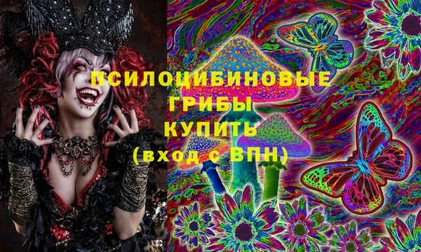 соль ск Арсеньев