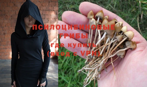 соль ск Арсеньев