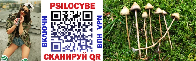 Галлюциногенные грибы GOLDEN TEACHER  наркота  Асино 